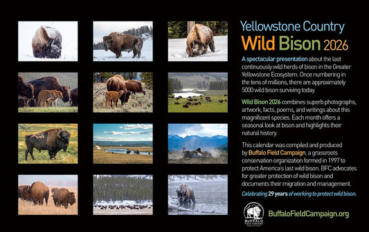 2026 BFC calendar back