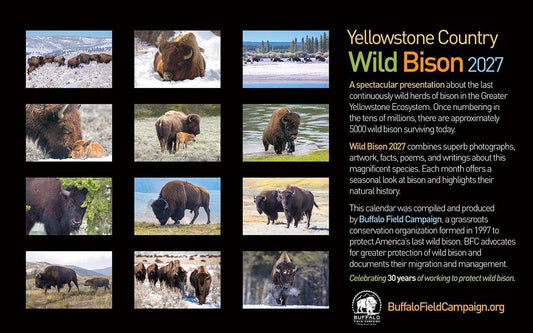 2027 Wild Yellowstone Bison Calendar