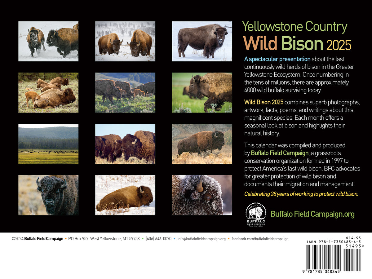 2025 Wild Yellowstone Bison Calendar (10 pack) Buffalo Field Campaign