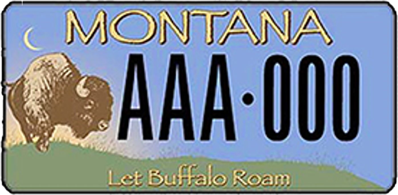 BFC "Let Buffalo Roam" Display License Plate for Buffalo Lovers World Wide