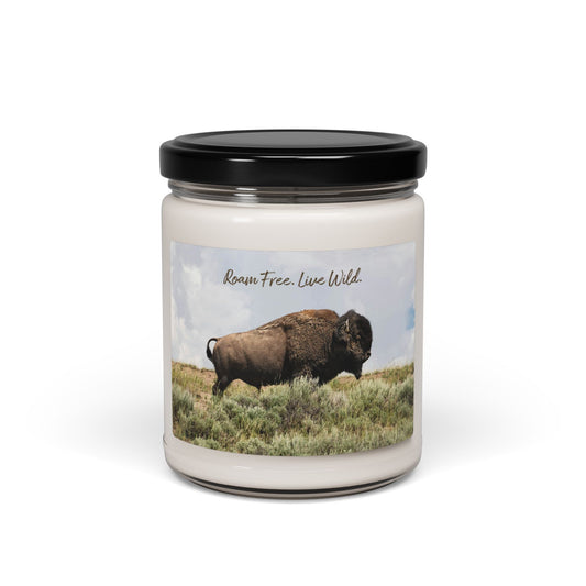 Scented Soy Candle, 9oz
