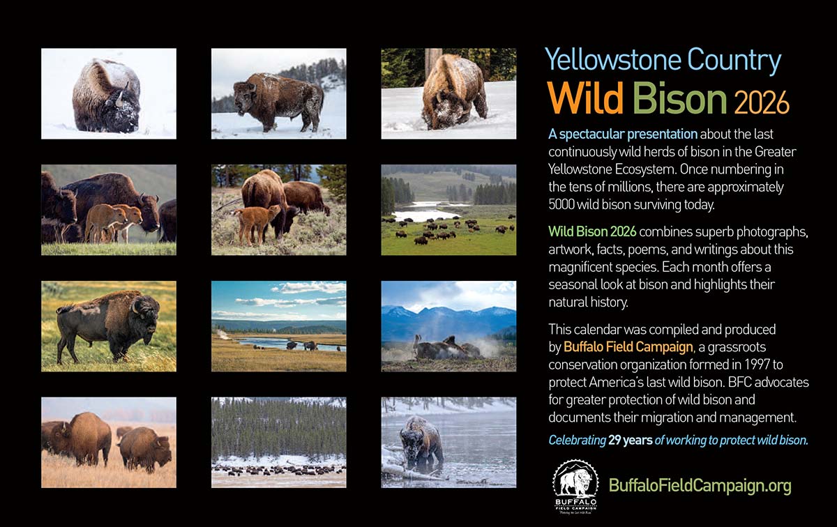 2026 BFC calendar back