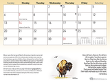 2024 Wild Yellowstone Bison Calendar (10 pack)