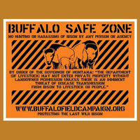 Buffalo Safe Zone Poster