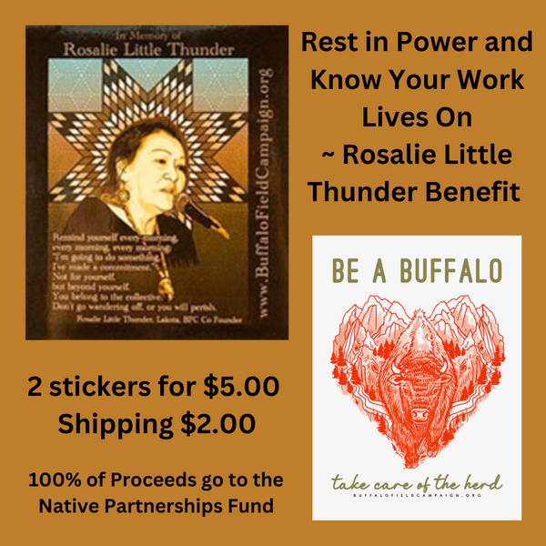 Rosalie Little Thunder Benefit - 2 Stickers for $5