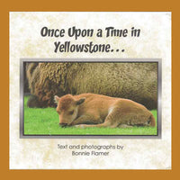 Once Upon a Time in Yellowstone, A Children's Book