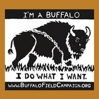 "I'm a Buffalo" Bumper Sticker